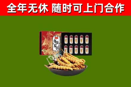 白山回收冬虫夏草价格