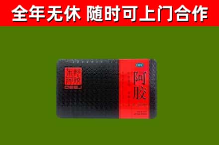 白山回收阿胶