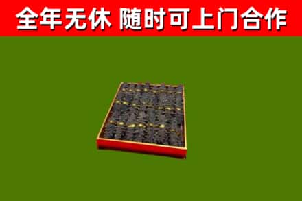 白山回收海参